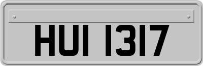 HUI1317