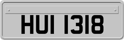 HUI1318