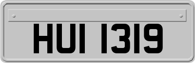 HUI1319