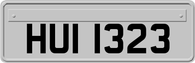 HUI1323