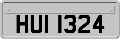 HUI1324