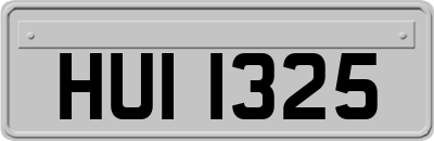 HUI1325