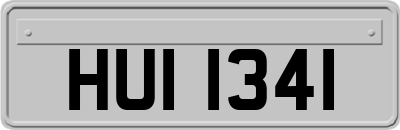 HUI1341