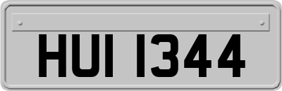 HUI1344