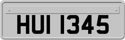 HUI1345