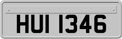 HUI1346