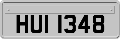 HUI1348