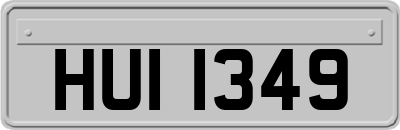 HUI1349