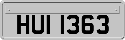 HUI1363