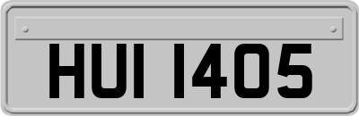 HUI1405