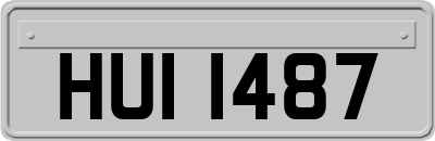 HUI1487