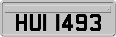 HUI1493