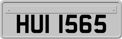 HUI1565