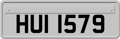 HUI1579