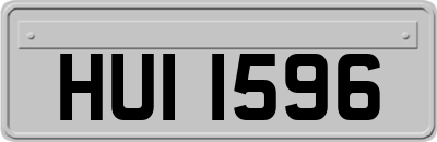 HUI1596