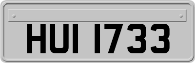 HUI1733