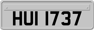 HUI1737