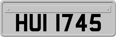 HUI1745