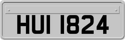 HUI1824