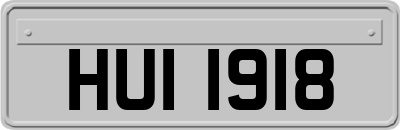 HUI1918