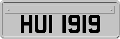 HUI1919