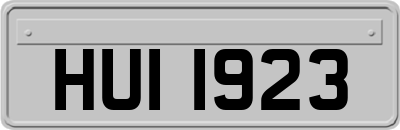 HUI1923