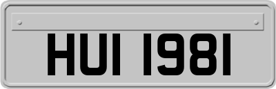 HUI1981