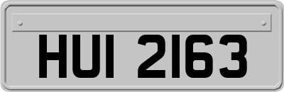 HUI2163