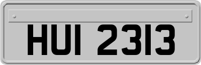 HUI2313