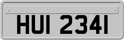 HUI2341