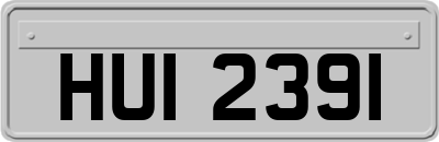 HUI2391