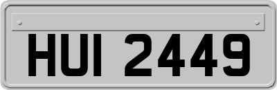 HUI2449