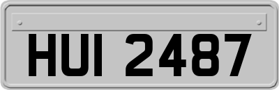 HUI2487