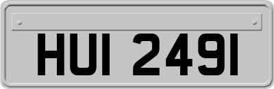 HUI2491