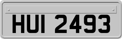 HUI2493