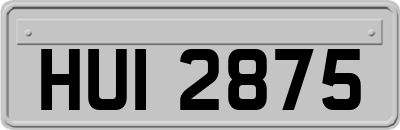 HUI2875