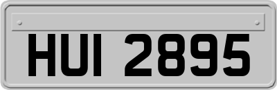 HUI2895