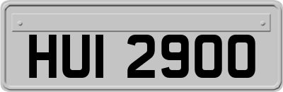 HUI2900