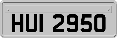 HUI2950