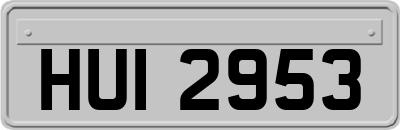 HUI2953