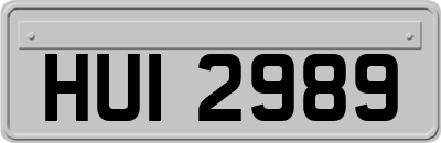 HUI2989