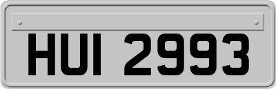 HUI2993