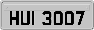 HUI3007