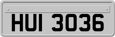 HUI3036