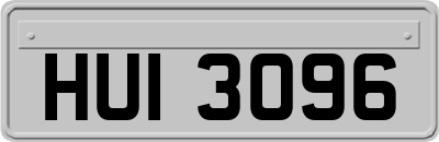 HUI3096