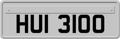 HUI3100