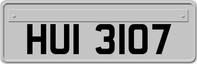 HUI3107