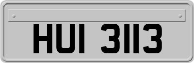 HUI3113