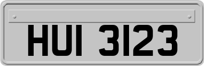 HUI3123