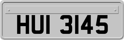 HUI3145